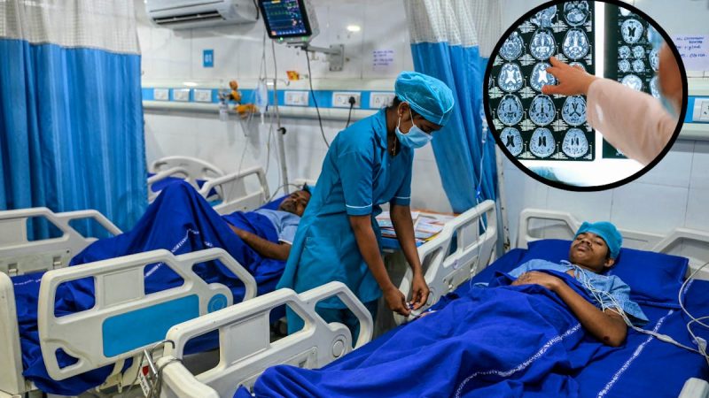 Amibe mangeuse de cerveau en Inde : alerte sanitaire au Kerala face à une hausse des décès et des infections
