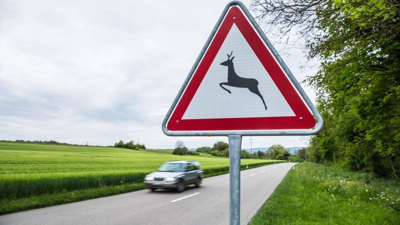 Tom Cruise et Ana de Armas : rupture évoquée dans une exclusivité The U.S. Sun