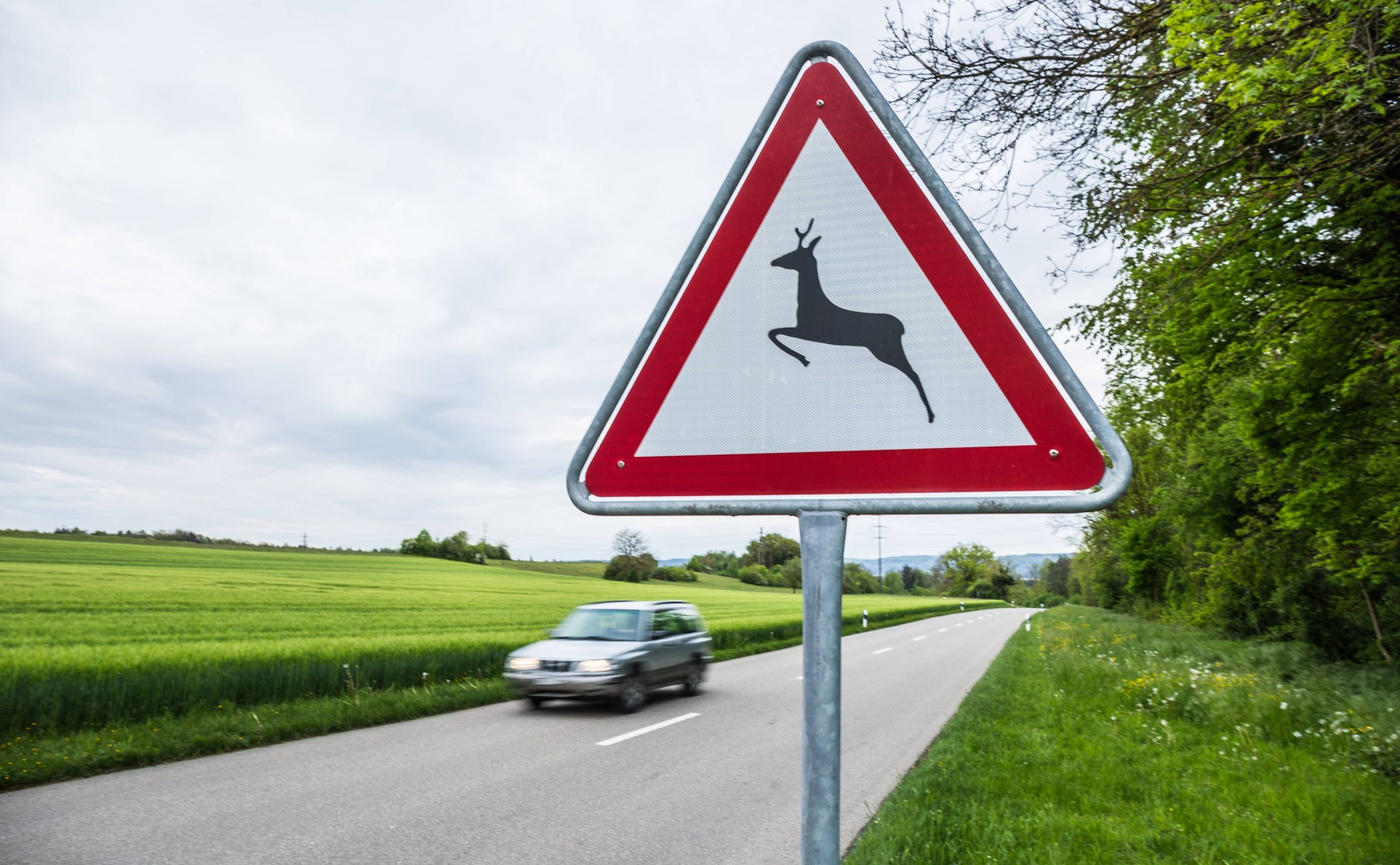 Tom Cruise et Ana de Armas : rupture évoquée dans une exclusivité The U.S. Sun