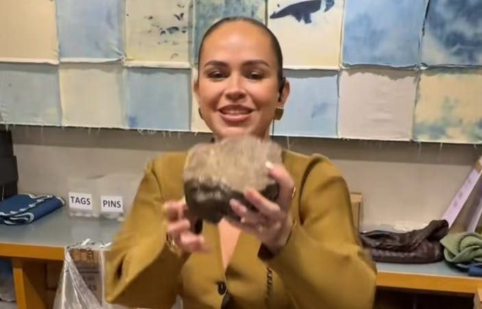 TikTok : une pierre ordinaire présentée comme un luxe à 150 dollars – analyse et répercussions pour Anthropologie