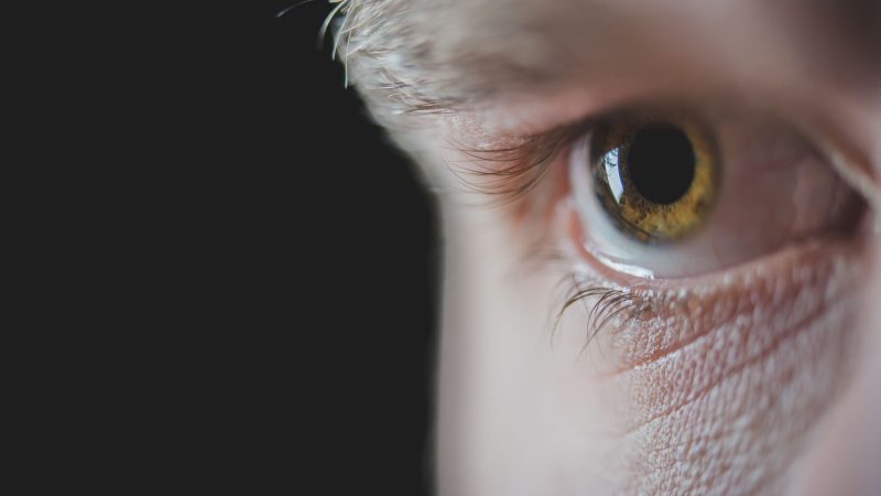 Hommages musicaux générés par l’IA autour de Charlie Kirk : Adele et Ed Sheeran dans des contenus synthétiques