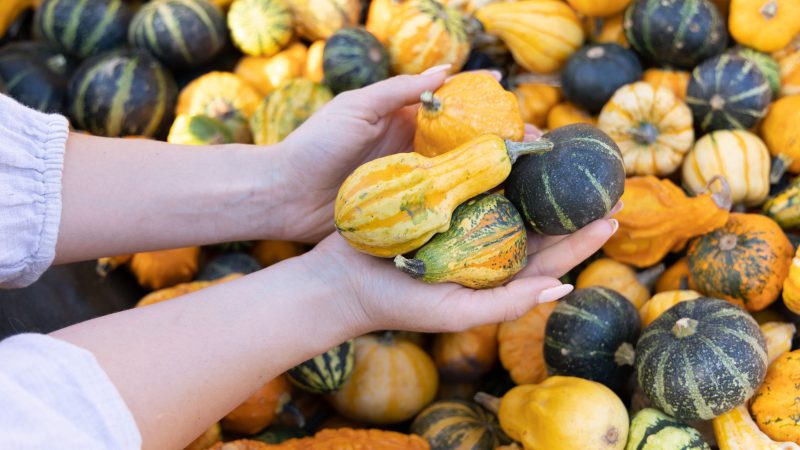 Proton lance un observatoire dédié au dark web pour suivre les violations de données