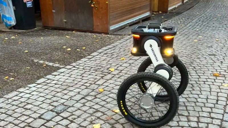 Sumo à Fukuoka : Motomura s’impose face à Amamidake malgré l’écart de poids