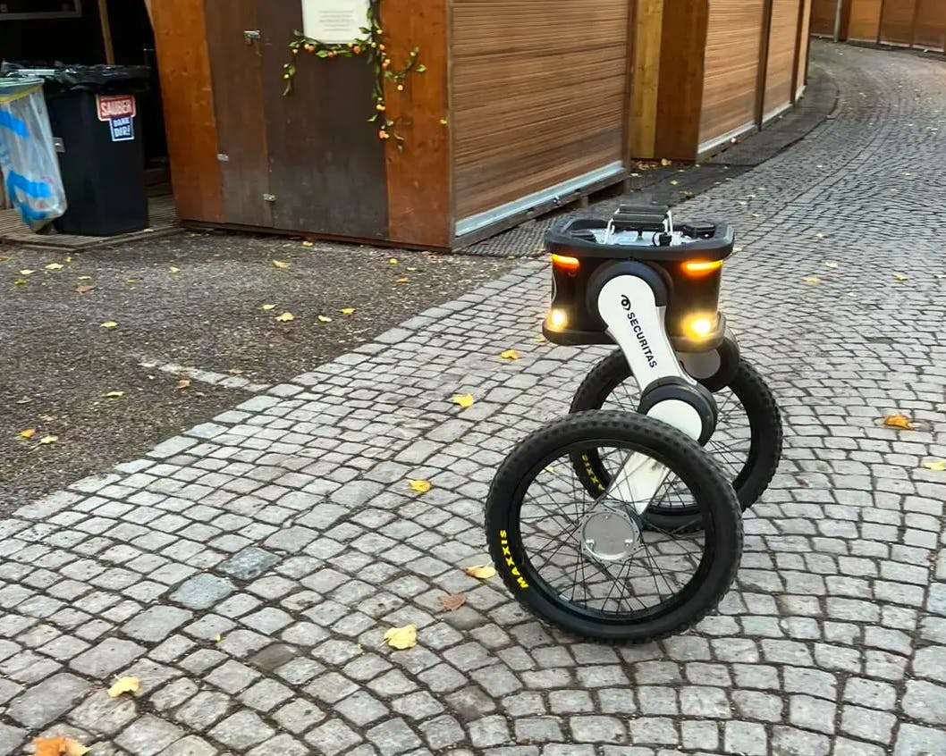 Sumo à Fukuoka : Motomura s’impose face à Amamidake malgré l’écart de poids